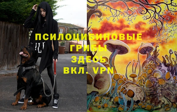 наркотики Алексеевка