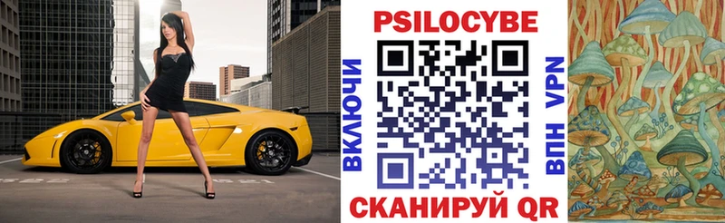 Галлюциногенные грибы Psilocybine cubensis  купить закладку  Бокситогорск 